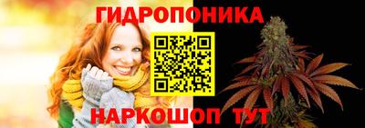 apvp Лесосибирск