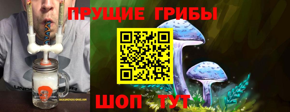 Зеленогорск  Галлюциногенные грибы Cubensis  Галлюциногенные грибы Psilocybine cubensis  купить наркотик  Вход с VPN 